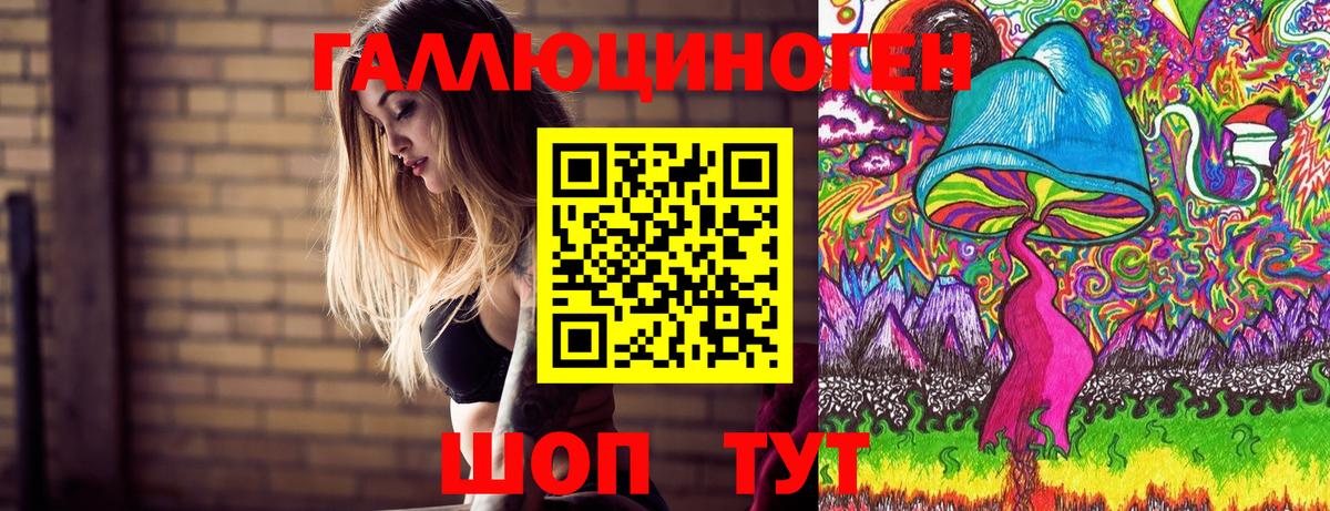Псилоцибиновые грибы Psilocybine cubensis  Псилоцибиновые грибы мицелий  закладки  Вход с VPN  Бердск 